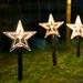 SDJMa Christmas Pathway Lights 5 Pcs Star Stake Lights Waterproof Decorative Landscape Lights Walkway Lights for Outdoor Yard Garden Lawn Patio Wedding Party Home Decor Battery Operated (Excluded)