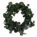 Vickerman Dollar Populus Eucalyptus 6" Polyester Wreath in Green | 20 H x 6 W x 20 D in | Wayfair EF224620