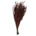 Vickerman Grabia Arrangement Preserved | 2 H x 5 W x 22 D in | Wayfair H1GRB475