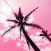 Bay Isle Home™ Palm Trees Pink - Wrapped Canvas Graphic Art Paper in White | 36" H x 36" W | Wayfair 14FCF795CA594D68BDC07CAA31FC0E11