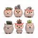 6Pcs Ceramic Pots For Succulents With Drainage Planter Garden Owl Flower Pots Planters Planters Indoor Plants