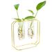 1 Set Metal Iron Art Flower Arrangement Vase Stylish Plants Terrarium Glass Planter Glass Plant Container (2PCS Vases)