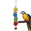 Jouets à mâcher colorés pour perroquet africain perroquet gris jouets pour oiseaux pinsons