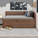 Red Barrel Studio® Daybed w/ Drawers & Shelves Wood in Brown | 34.3 H x 42.4 W x 77.8 D in | Wayfair 47E3D5637FCD4D5EB6625B9F8B822BE9