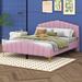 Mercer41 Wynema Queen Size Velvet Platform Bed w/ Thick Fabric Upholstered/Velvet in Pink | 41.4 H x 64.4 W x 85.5 D in | Wayfair