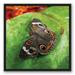 Gracie Oaks Butterfly On Leaf Framed On Canvas Print Canvas in Brown/Green | 25.75 H x 25.75 W x 1.75 D in | Wayfair