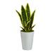 Silk Plant Nearly Natural 18 Sansevieria Artificial Plant in White Planter