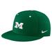 Men's Nike Green Michigan Wolverines St. Patrick's Day True Fitted Performance Hat