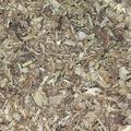 Organic Echinacea Root (Echinacea purpurea) Dried Herb (250g)