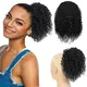 Proximité Wstring-Extension de queue de cheval pour femmes noires extensions de cheveux crépus