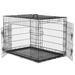 Tucker Murphy Pet™ Pet Crate Double Door Folding Dog Crate Metal in Black | 24.21 H x 36.61 W x 22.63 D in | Wayfair