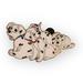 Disney Other | Disney Pin Trading Good Vs. Evil Mystery Collection - Dalmatian Puppies 2006 | Color: Gold | Size: Os