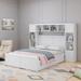 Latitude Run® Dior Bookcase Storage Bed Wood in White | 59.45 H x 87.76 W x 79.76 D in | Wayfair 963602F8AD4A45239AE13EB0B403BF5C