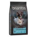 Lot Briantos SANS CÉRÉALES 2 x 12 kg pour chien - Adult Mini saumon, pommes de terre