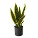 Silk Plant Nearly Natural 14 Sansevieria Artificial Plant