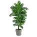 6 Curvy Parlor Palm Tree in Black & White Jute Planter