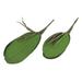 2 Pcs Potted Decoration Artificial Greenery Stem Orchid Plants Home Decorative Imitation Pu