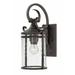 1 Light Medium Outdoor Wall Lantern in Rustic Style 9.75 inches Wide By 17.5 inches High-Clear Seedy Glass Color Bailey Street Home 81-Bel-2986235