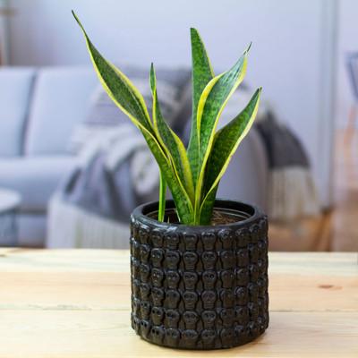 'Handcrafted Skull-Patterned Round Black Ceramic Flower Pot'