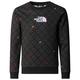 The North Face - Boy's Drew Pealight Crew Print - Pullover Gr XL schwarz