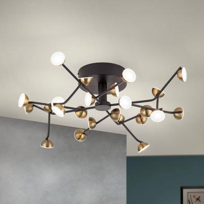 Orion LED-Deckenleuchte Blossom, 24-flammig Image