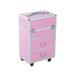 Leadrop 4 Tier Lockable Cosmetic Makeup Train Case with Extendable Trays Pink