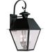 2 Light Outdoor Wall Lantern in Coastal Style 12 inches Wide By 23.5 inches High-Black Finish Bailey Street Home 218-Bel-1119429