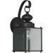 Forte Lighting - Remo - 1 Light Outdoor Wall Lantern-12.5 Inches Tall and 5.5