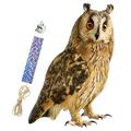 Pastoral Orchard Yard Decoration Owl Bird Repelling Bell Pendant Living Room Decorations for Tree Deterrent Owls Frighten Birds Ornament Drive Away Pp