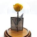 Forever Rose USA Brand - The Beauty and The Beast Rose - Enchanted Rose - This is a Real Rose! â€¦ (Yellow)