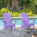 Recycled Plastic Modern Outdoor Adirondack Chair Set of 2 by LIVOOSUN
