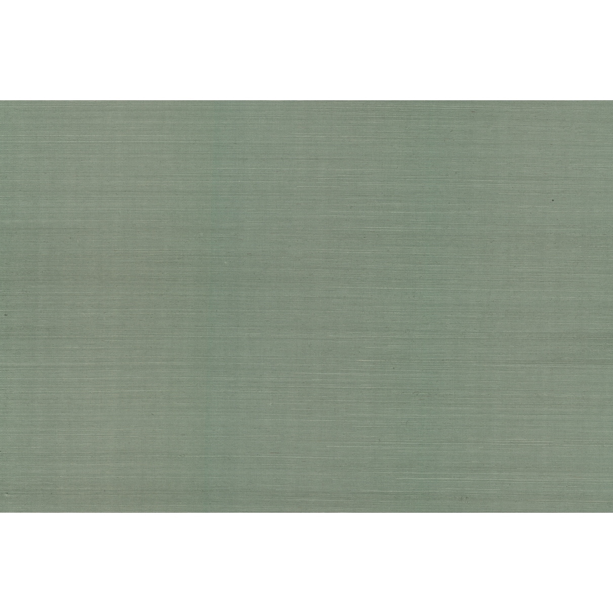 York Wallcoverings Palette Sage Wallpaper