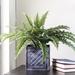 Northlight Seasonal 20" Artificial Boston Fern in Decorative Distressed Square Black Tin Pot Plastic/Metal | 20 H x 30 W x 30 D in | Wayfair