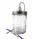 Lampe bocal en verre violet foncé