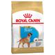 Royal Canin Boxer Puppy - Economy Pack: 2 x 12kg