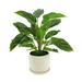 Primrue 17" Faux Foliage Plant in Pot Ceramic/Polysilk in Brown/White | 17 H x 17 W x 17 D in | Wayfair 1A242EC3BE1A4A8CBF8C6D148B91C8D0