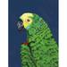 Winston Porter Parrot Head Navy by Pamela Munger Print Canvas in Blue/Green | 16 H x 12 W x 1.25 D in | Wayfair D422BBB242394E499B1402B2780D271C