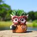 SnugMaker Owl Animal EC36 Planter - Resin Succulent Plant with Drainage Unique Planters for Indoor Plants Owl Decor Succulent Planters Gifts for Home Office Desk Garden Decoration(Small)