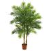 HomeStock 5Ft. Timeless Tradition Palm Artificial Tree (Real Touch)