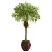 HomeStock Lakeside Living 62In. Robellini Palm Artificial Tree In Decorative Planter