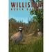 Williston North Dakota Quail (16x24 Giclee Gallery Art Print Vivid Textured Wall Decor)