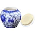 Blue and White Porcelain Tea Ceramic Kettle Teapot Storage Accessories Household Canister Convenient Chic Make