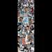 Animal Collage Grip Tape Sheet 10.5 X 33