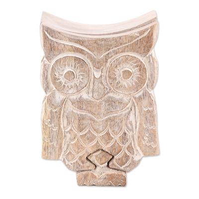 'Perched at Midnight','Handmade Owl-Themed Wood Puzzle Box from India'