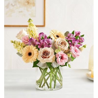 1-800-Flowers Everyday Gift Delivery Nature's Charm Small