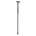 Heitune Aluminium Alloy Telescopic Lightweight Walking Cane Trekking Mountaineering Stick (Black)