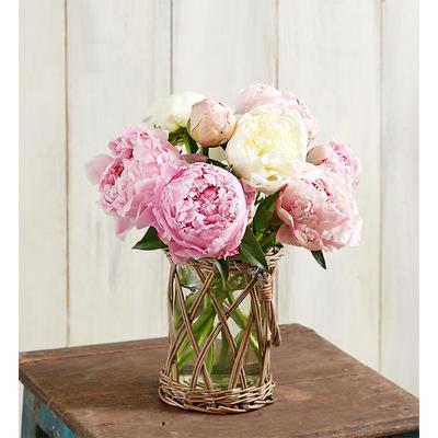 1-800-Flowers Flower Delivery Pink & White Peony Bouquet 10 Stems W/ Wicker Vase