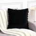 Decorative Throw Pillow Covers with Tassel Set of 2, Soft Velvet Solid Square Cushion Cases