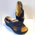 J. Crew Shoes | J Crew Marcie Blue Suede Platform Wedge Slingback Sandal 8 1/2 | Color: Blue | Size: 8.5