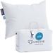 Natural Canadian White Down Luxury Sleeping Pillow - 625 Fill Power, 500 Thread Count Cotton Shell, Standard - Soft, 1 Pack